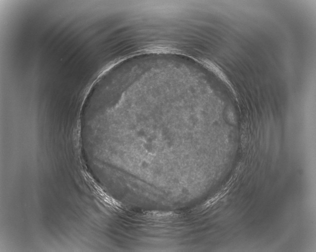 X0000067850831200605041713