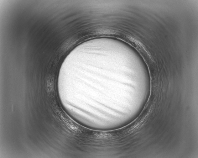 X0000067850833200605041713