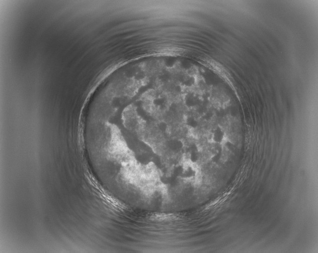 X0000067850835200605041713