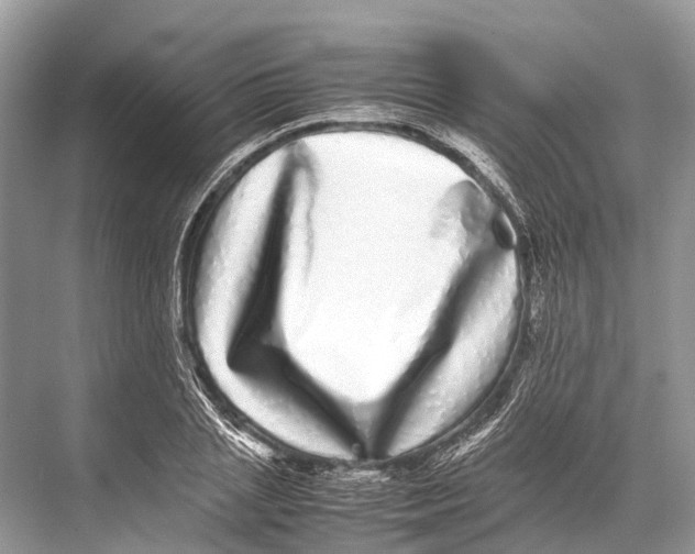 X0000067850837200605041713