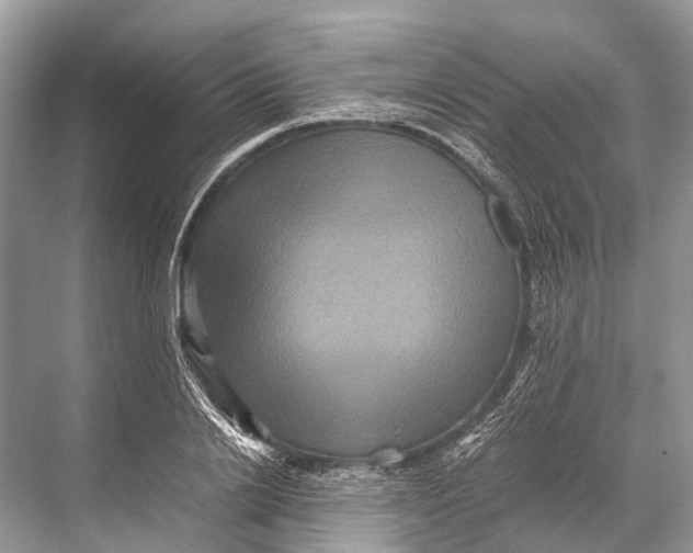 X0000067850838200605041713