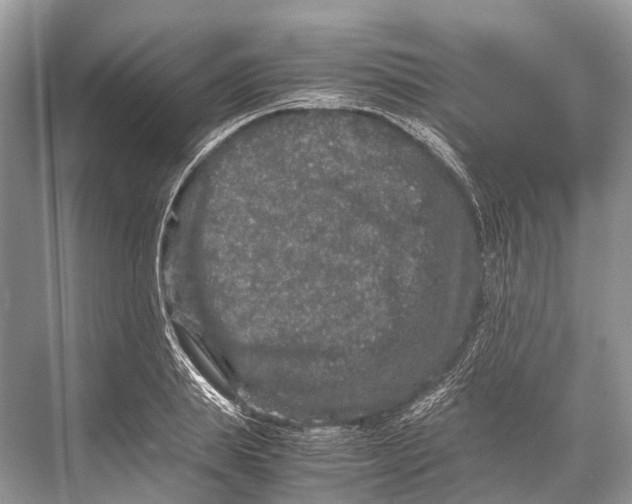 X0000067850839200605041713