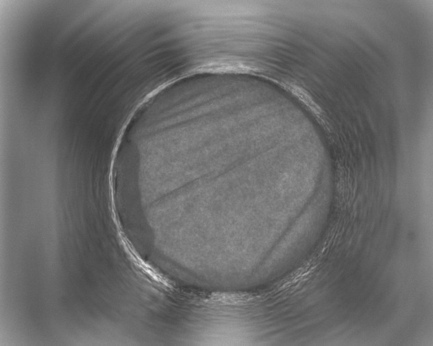 X0000067850840200605041713