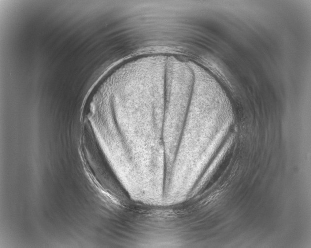 X0000067850844200605041713