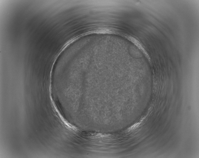 X0000067850845200605041713