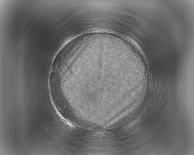 X0000067850847200605041713