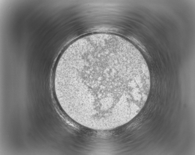 X0000067850848200605041713