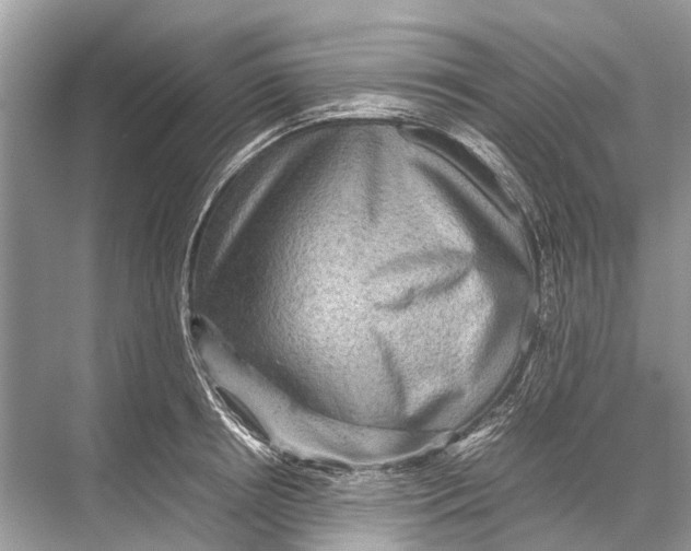 X0000067850850200605041713