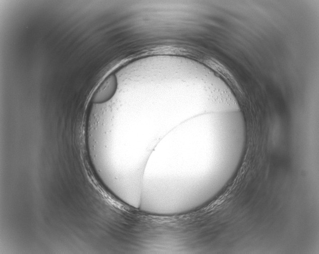 X0000067850852200605041713