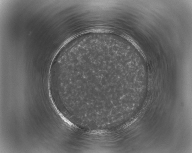 X0000067850853200605041713