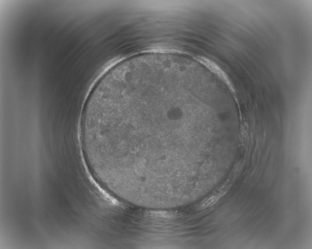 X0000067850855200605041713