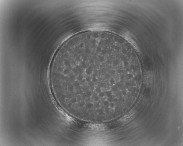 X0000067850856200605041713