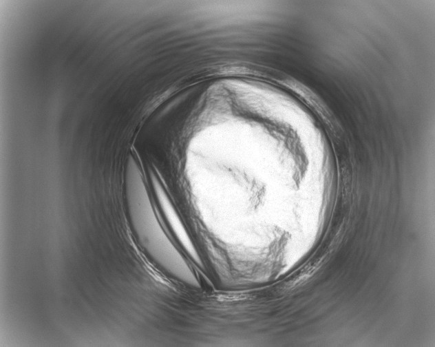 X0000067850857200605041713