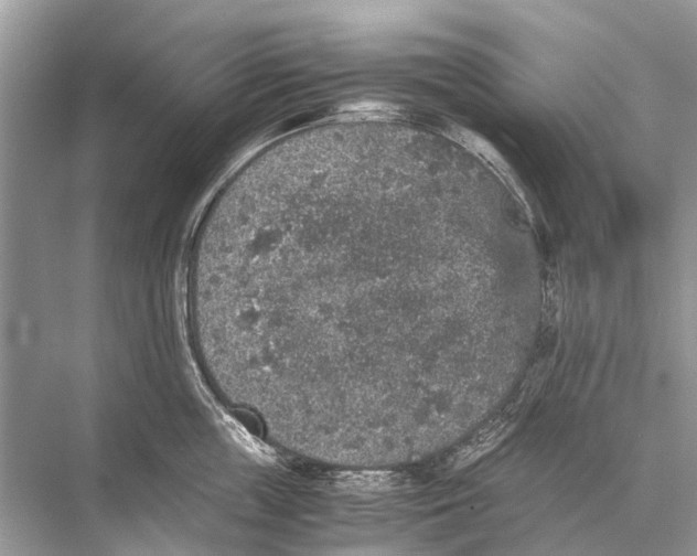 X0000067850859200605041713