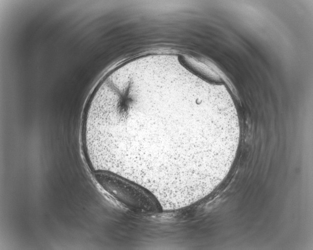 X0000067850861200605041713