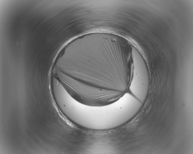 X0000067850862200605041713