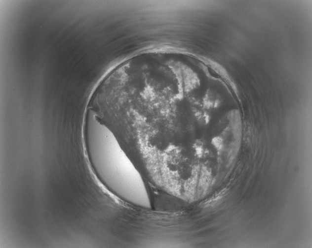 X0000067850863200605041713