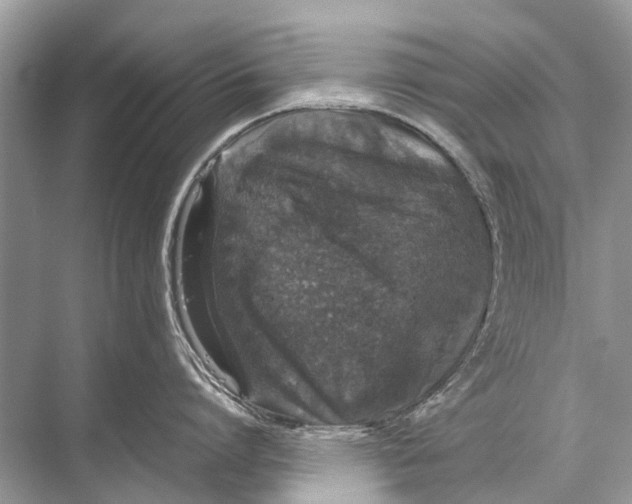 X0000067850864200605041713