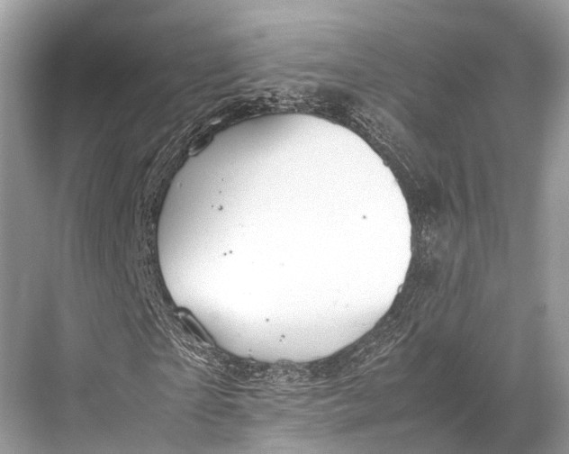 X0000067850865200605041713