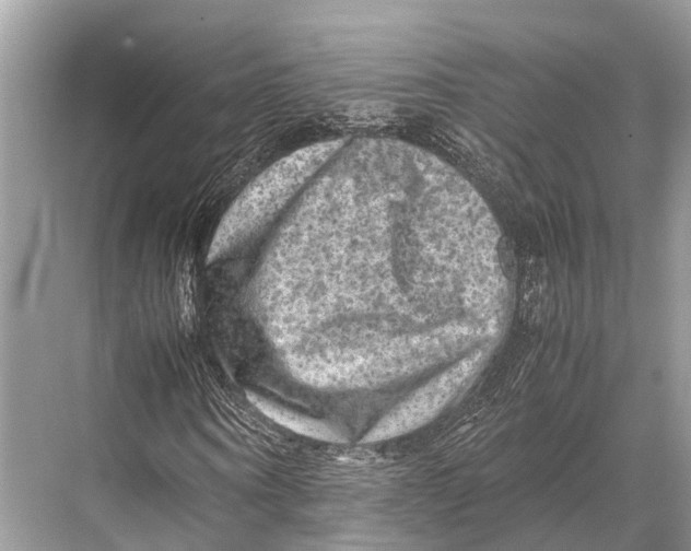 X0000067850866200605041713