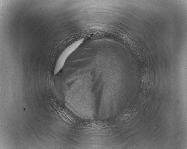 X0000067850868200605041713