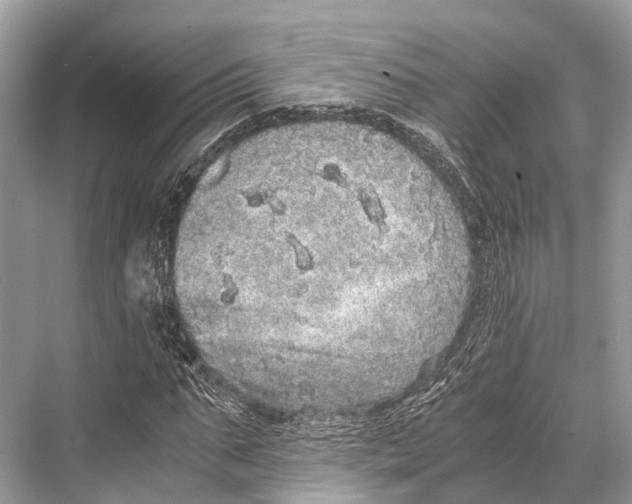 X0000067850871200605041713