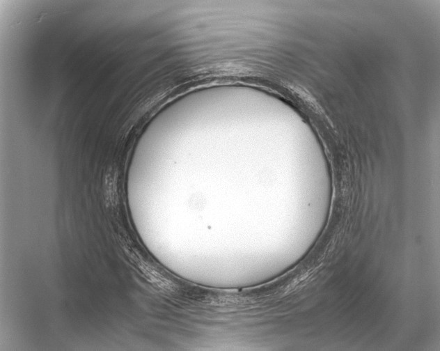 X0000067850873200605041713