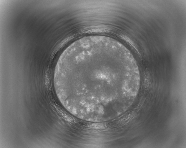 X0000067850874200605041713