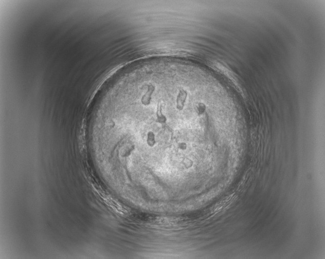 X0000067850875200605041712