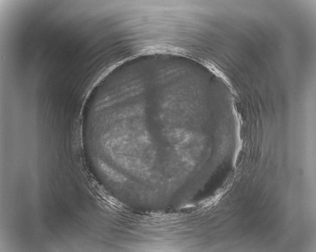 X0000067850877200605041712