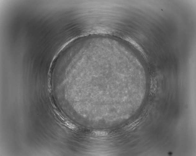 X0000067850878200605041712