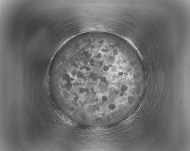 X0000067850879200605041712