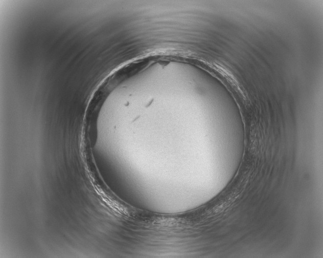 X0000067850880200605041712