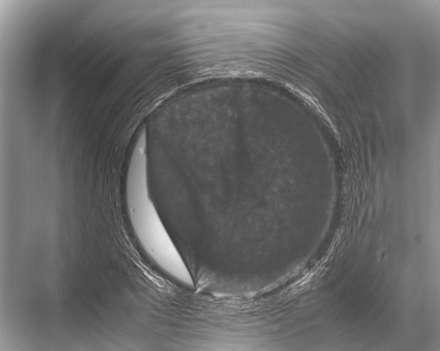 X0000067850881200605041712