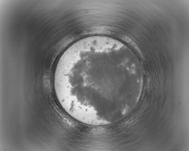 X0000067850882200605041712