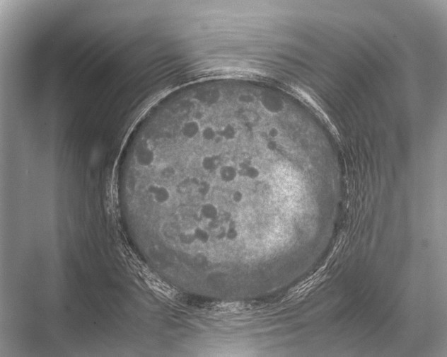 X0000067850883200605041712