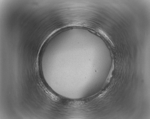 X0000067850884200605041712