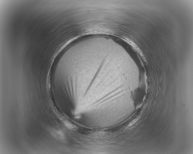 X0000067850885200605041712