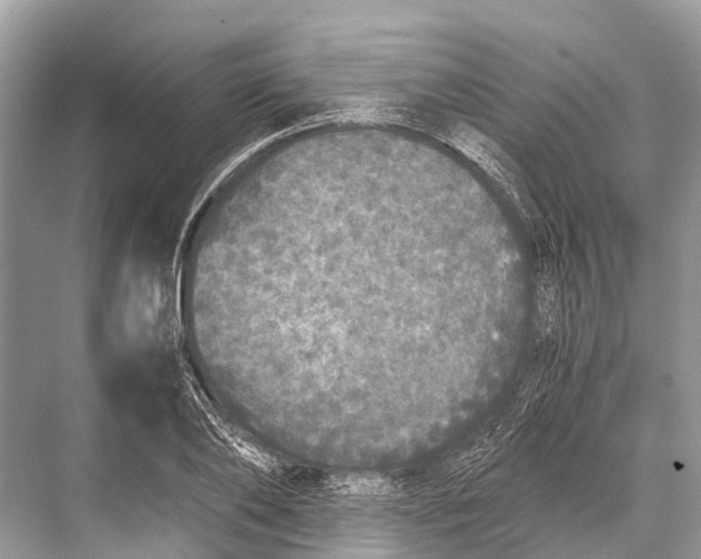 X0000067850886200605041712