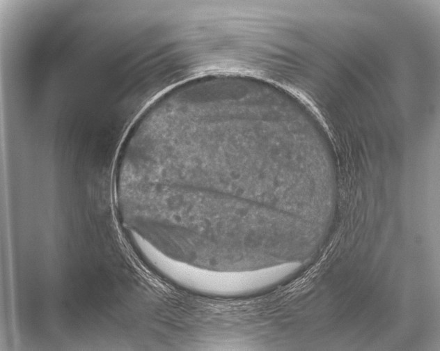 X0000067850887200605041712