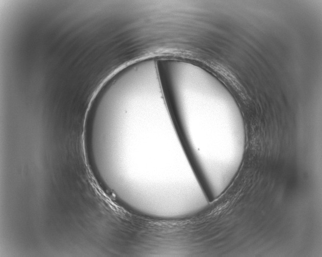 X0000067850888200605041712