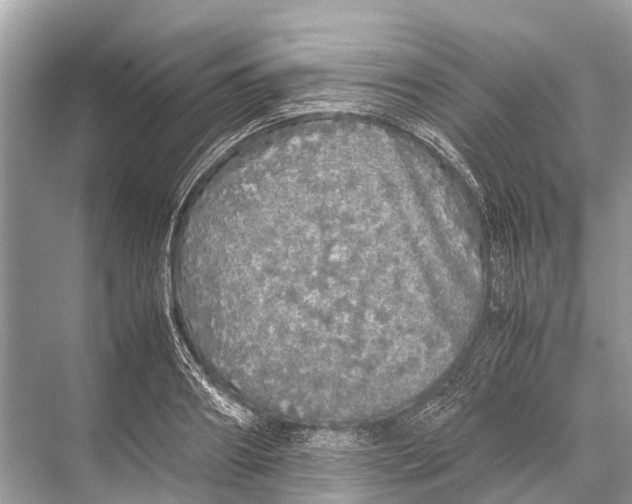 X0000067850890200605041712