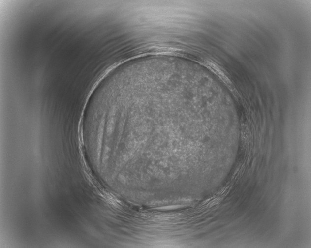 X0000067850891200605041712