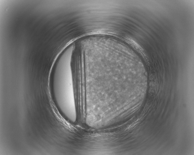 X0000067850892200605041712