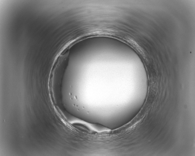 X0000067850893200605041712