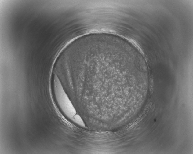 X0000067850895200605041712