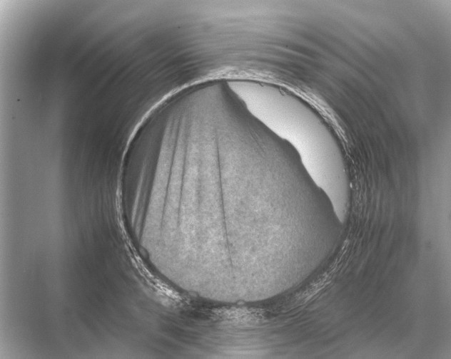 X0000067850896200605041712