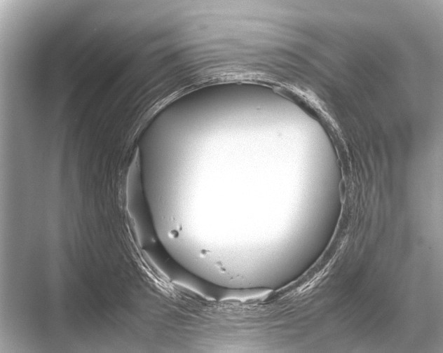 X0000067850897200605041712