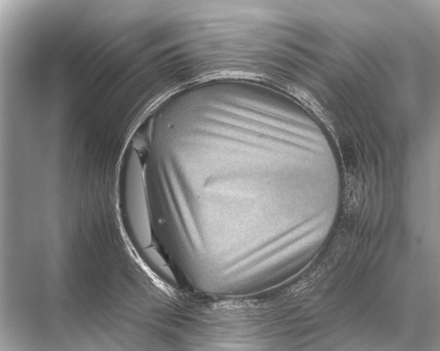 X0000067850898200605041712