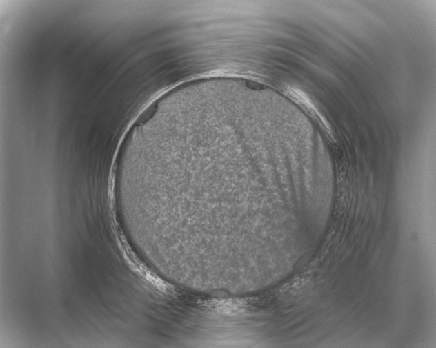 X0000067850900200605041712